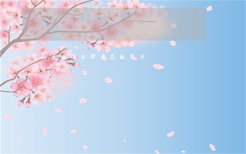 车辆违法停车需要几张照片