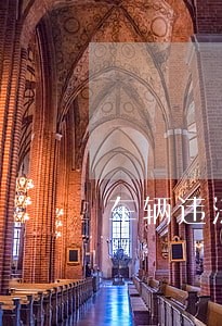 车辆违法司机强行冲岗