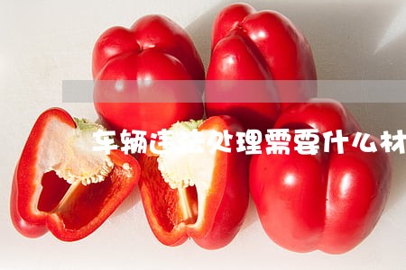 车辆违法处理需要什么材料 车辆违法处理需要什么材料