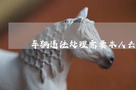 车辆违法处理需要本人去吗