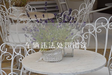 车辆违法处罚错误