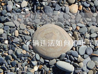 车辆违法如何看电子监控
