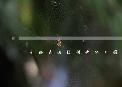 车辆违法短信也分真假 车辆违法短信也分真假