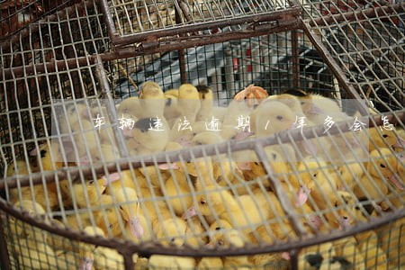 车辆违法逾期1年多会怎样 车辆违法逾期1年多会怎样