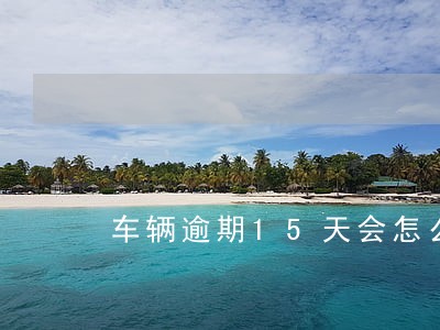 车辆逾期15天会怎么样 车辆逾期15天会怎么样