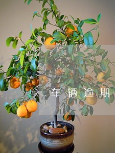 车辆逾期2天交警罚款扣分合理吗 车辆逾期2天交警罚款扣分合理吗