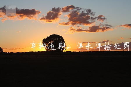 车辆逾期2年未年检处罚规定 车辆逾期2年未年检处罚规定