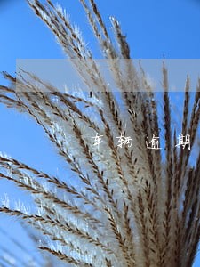 车辆逾期7天保险是否理赔 车辆逾期7天保险是否理赔