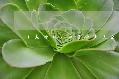 车辆逾期一年未年检怎么办6 车辆逾期一年未年检怎么办6