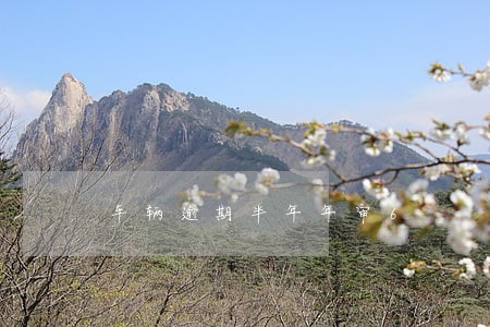 车辆逾期半年年审6 车辆逾期半年年审6