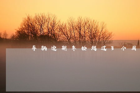 车辆逾期年检超过3个周期 车辆逾期年检超过3个周期