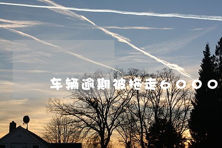 车辆逾期被拖走6000违约金 车辆逾期被拖走6000违约金