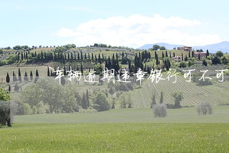 车辆逾期违章银行可不可以处理 车辆逾期违章银行可不可以处理