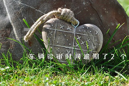 车辆验审时间逾期了2个月 车辆验审时间逾期了2个月