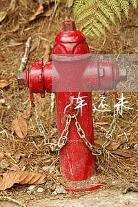 车还未上牌车贷逾期3年有影响吗 车还未上牌车贷逾期3年有影响吗