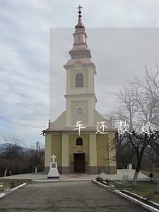 车还款逾期银行会强行 车还款逾期银行会强行