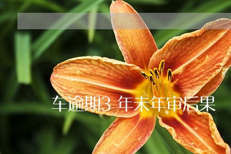 车逾期3年未年审后果