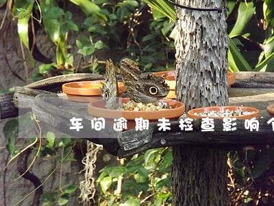 车间逾期未检查影响个人信用吗 车间逾期未检查影响个人信用吗