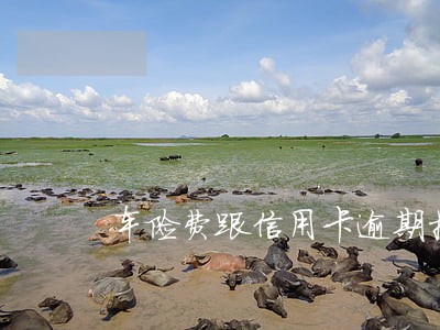 车险费跟信用卡逾期挂钩了吗 车险费跟信用卡逾期挂钩了吗