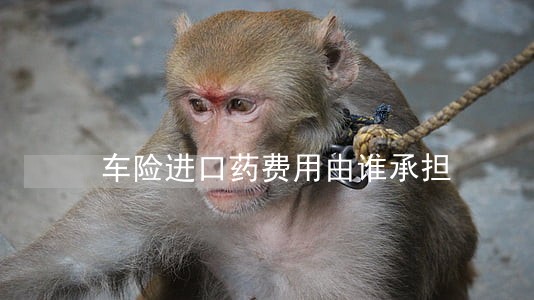 车险进口药费用由谁承担 车险进口药费用由谁承担