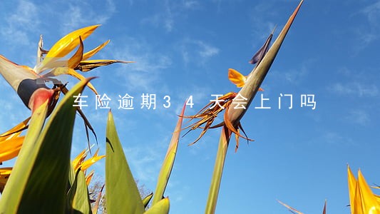 车险逾期34天会上门吗 车险逾期34天会上门吗