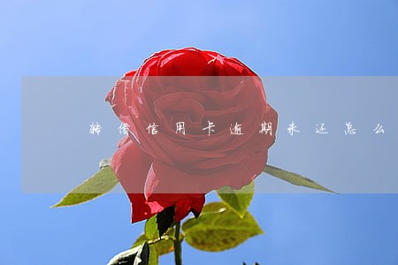 转借信用卡逾期未还怎么处理 转借信用卡逾期未还怎么处理