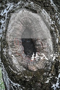 转入贷款逾期账户是什么意思 转入贷款逾期账户是什么意思