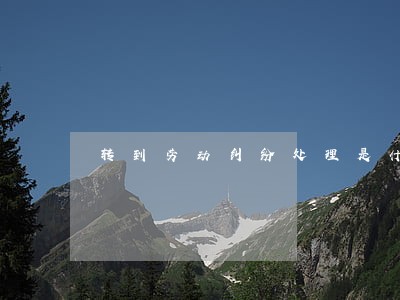 转到劳动纠纷处理是什么意思 转到劳动纠纷处理是什么意思