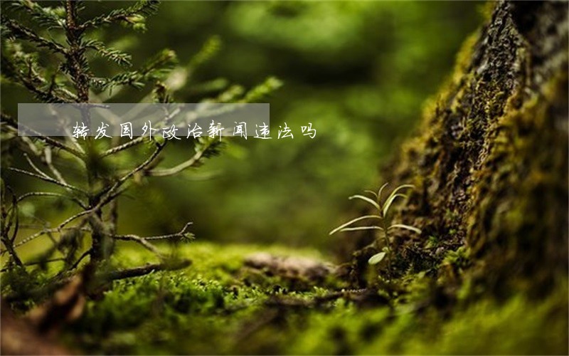 转发国外政治新闻违法吗 转发国外政治新闻违法吗