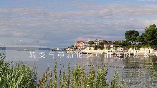 转变与革新论少年刑法的基本立场 转变与革新论少年刑法的基本立场