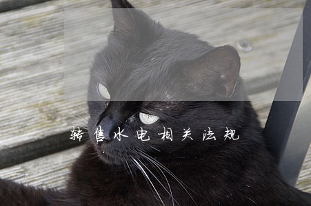 转售水电相关法规 转售水电相关法规