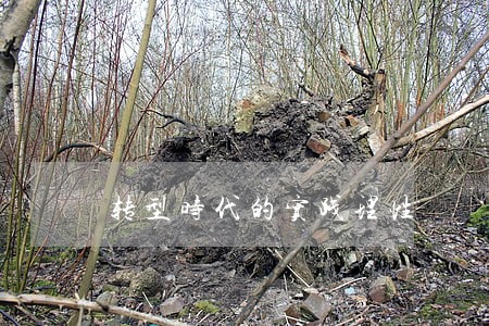 转型时代的实践理性 转型时代的实践理性