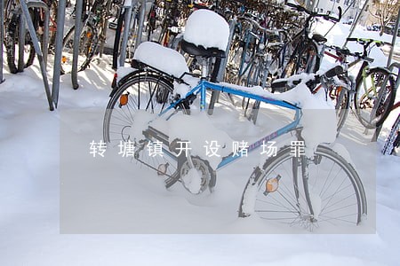 转塘镇开设赌场罪