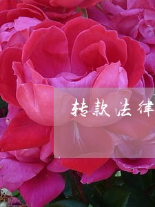 转款法律咨询 转款法律咨询