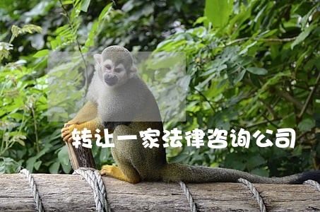 转让一家法律咨询公司 转让一家法律咨询公司