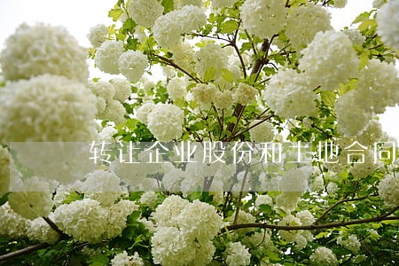 转让企业股份和土地合同纠纷 转让企业股份和土地合同纠纷