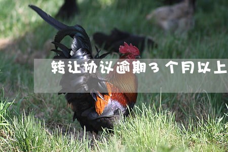 转让协议逾期3个月以上的案例 转让协议逾期3个月以上的案例