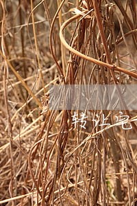 转让宅基地是违法的吗 转让宅基地是违法的吗