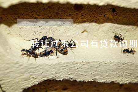 转让过来公司有贷款逾期 转让过来公司有贷款逾期