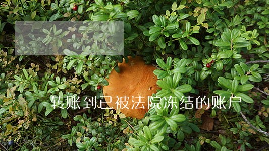 转账到已被法院冻结的账户 转账到已被法院冻结的账户