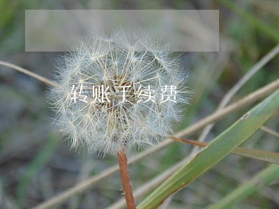 转账手续费 转账手续费