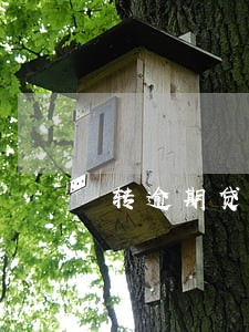 转逾期贷款是否先还后贷 转逾期贷款是否先还后贷