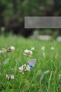 转错两千块钱法院会受理吗 转错两千块钱法院会受理吗