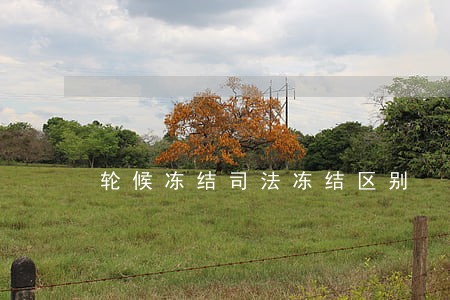 轮候冻结司法冻结区别 轮候冻结司法冻结区别