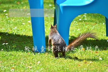 轮候查封法院处理财产 轮候查封法院处理财产