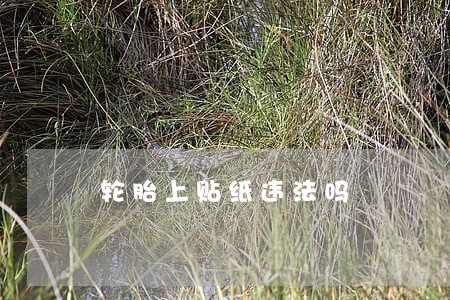 轮胎上贴纸违法吗 轮胎上贴纸违法吗