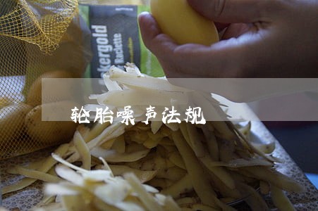 轮胎噪声法规 轮胎噪声法规