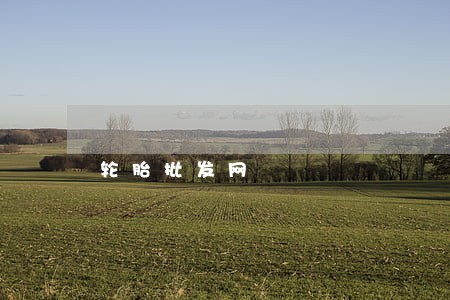 轮胎批发网 轮胎批发网