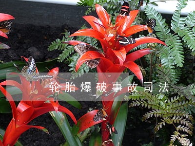 轮胎爆破事故司法