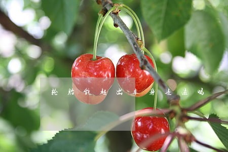 轮胎能超出车身违法吗